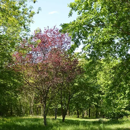 Appartement Grand T2 Pour Curistes A Duc Manoir *