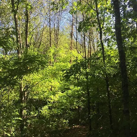 Grand T2 Pour Curistes A Duc Manoir * Aubin (Aveyron)