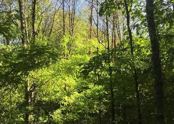 Grand T2 Pour Curistes A Duc Manoir * Aubin (Aveyron)